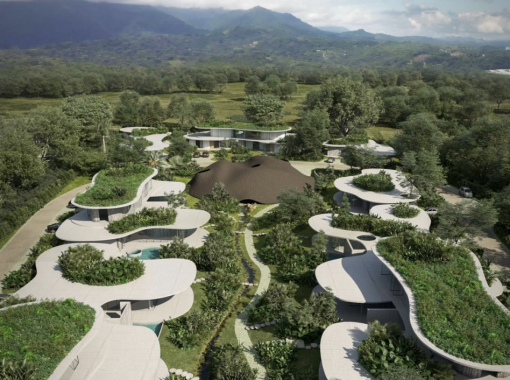 THE SEED - Costa Rica