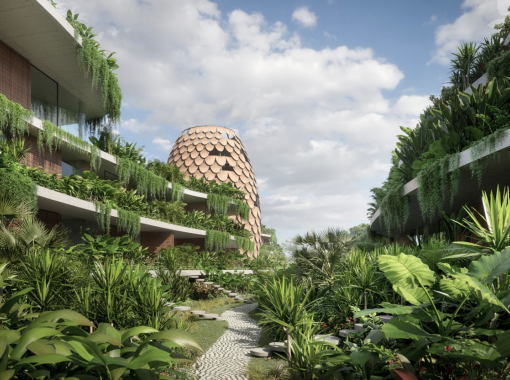 THE SEED - Costa Rica