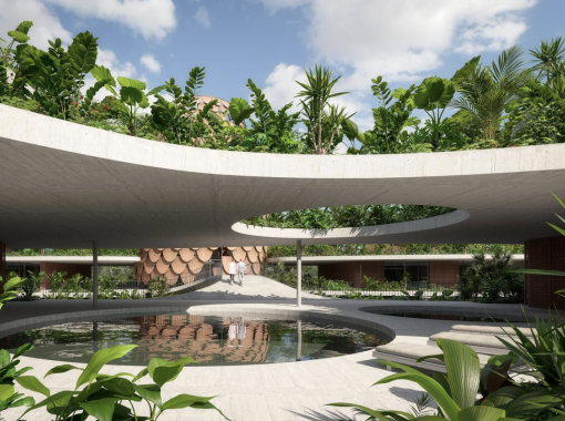 The Seed - Costa Rica