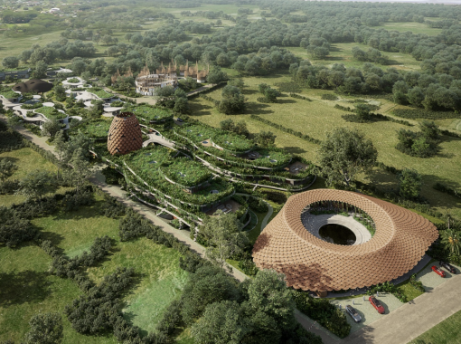 The Seed - Costa Rica