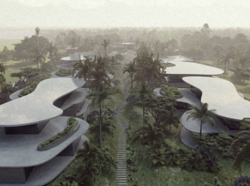 The Seed - Costa Rica